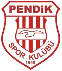 Siltaş Yapı Pendikspor