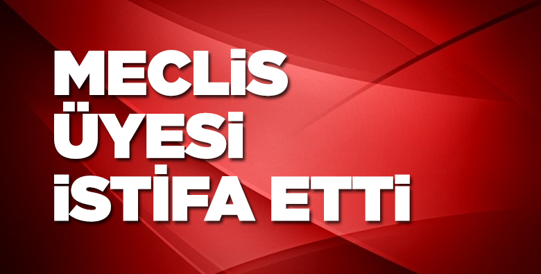 Meclis Üyesi İstifa Etti