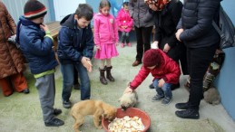 Sokak hayvanlarının Özel ziyaretçileri vardı