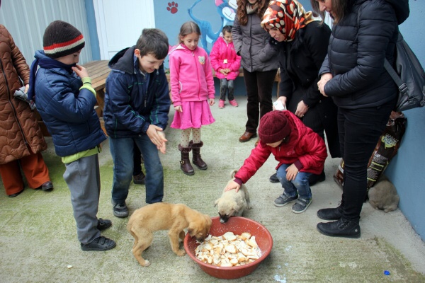 Sokak hayvanlarının Özel ziyaretçileri vardı