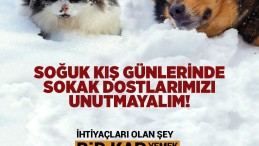 Soğuk havalarda onları unutmayın