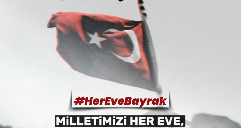 AK Gençlik Ilgaz’dan Her Eve Bayrak