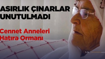 Anneler Günü’nde Asırlık Çınarlar Unutulmadı