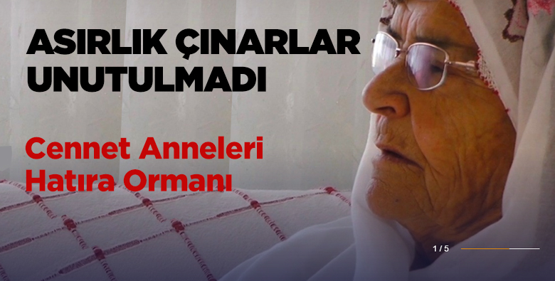 Anneler Günü’nde Asırlık Çınarlar Unutulmadı