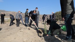 Vali Ayaz, Fidan Dikim Törenine Katıldı