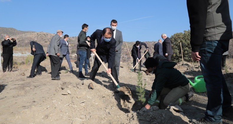 Vali Ayaz, Fidan Dikim Törenine Katıldı