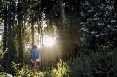 Ormanın Gücü: Orman Banyosu Nedir? Nasıl Yapılır?