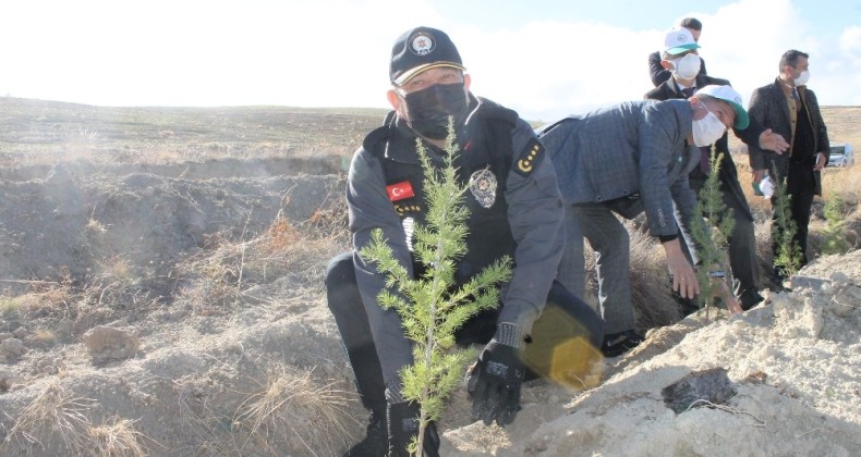 Geleceğe Nefes İçin Çankırı’da 73 Bin Fidan Dikildi