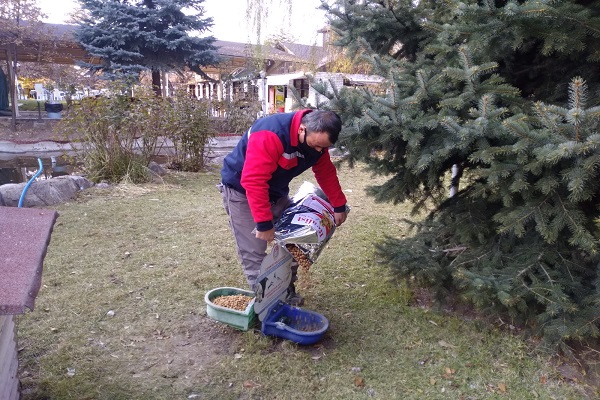 Çankırı’da Can Dostları Unutulmuyor