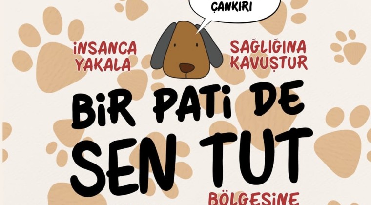 “Bir Pati De Sen Tut” Projesi Hayata Geçiyor