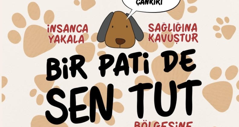 “Bir Pati De Sen Tut” Projesi Hayata Geçiyor