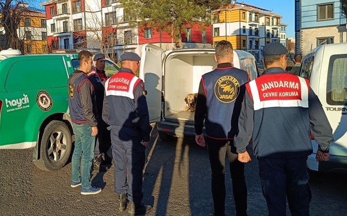 Nevşehir’de bahisle köpek dövüştüren 9 kişi yakalandı