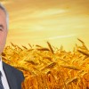 Bucak Belediyesinden çiftçilere ilaçlı buğday desteği