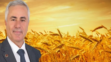 Bucak Belediyesinden çiftçilere ilaçlı buğday desteği