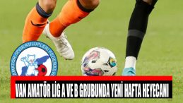 Van Amatör Lig A ve B grubunda yeni hafta heyecanı