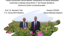 Gül Hasat Şenliği başlıyor