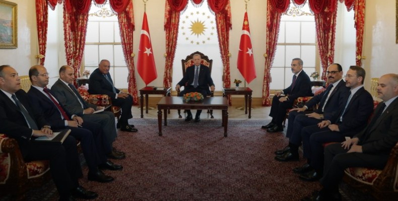 Erdoğan, Mısır Dışişleri Bakanı Şukri’yi kabul etti