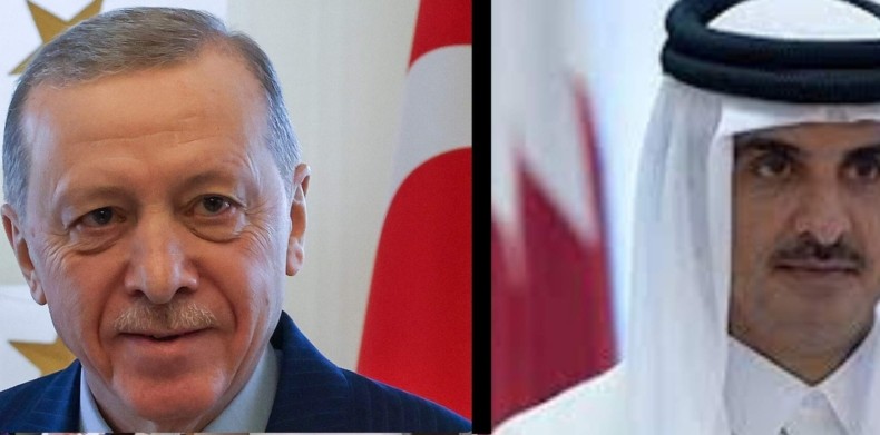 Cumhurbaşkanı Erdoğan, Katar Emiri El-Sani ile görüştü