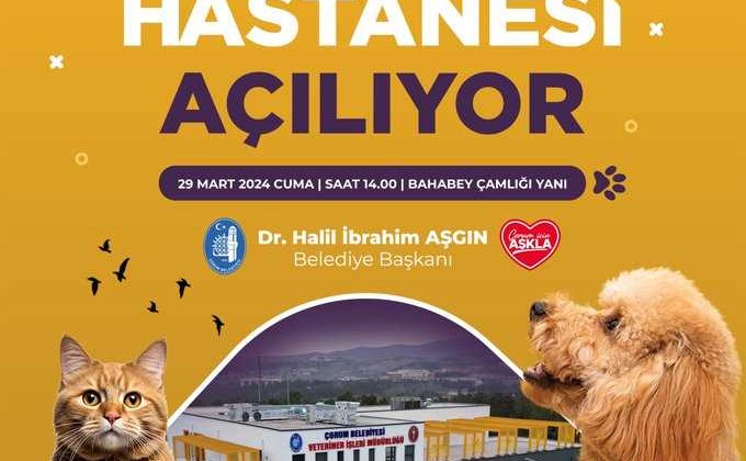 Çorum Belediyesi, Bölgenin En Modern Hayvan Hastanesini Açıyor!