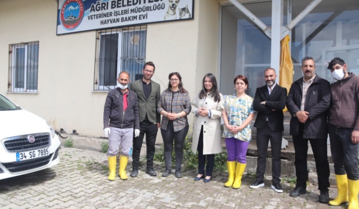 Önceki dönemlerde kaderine terk edilen Hayvan Bakım Evini yeniliyoruz