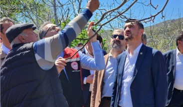 Bakan Yardımcısı Gümen, Burdur’da zirai dondan etkilenen üreticilerle bir araya geldi – Birlik Haber Ajansı