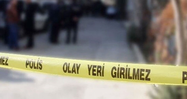 Ankara’da evindeki yavru köpekleri katleden doktor tutuklandı – Birlik Haber Ajansı