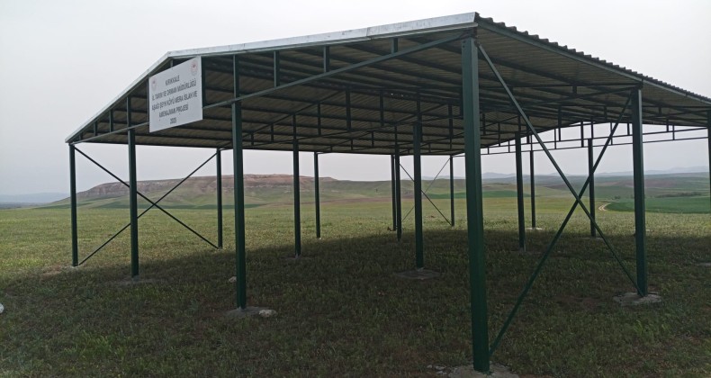 Kırıkkale meralarında gölgelik kurulumu devam ediyor – Birlik Haber Ajansı