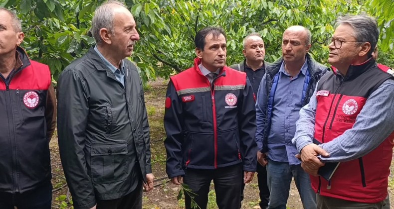 Tarım uzmanları Amasya’da don hasarını yerinde inceledi – Birlik Haber Ajansı