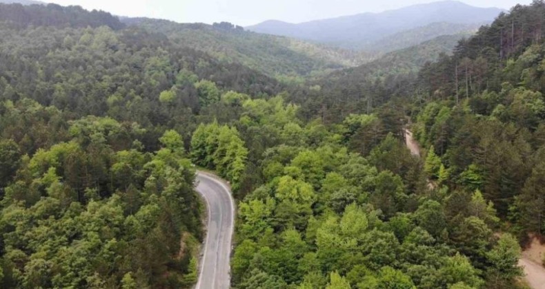 Çanakkale’de ormanlık alanlara girişler 1 Haziran’dan itibaren yasaklandı – Birlik Haber Ajansı
