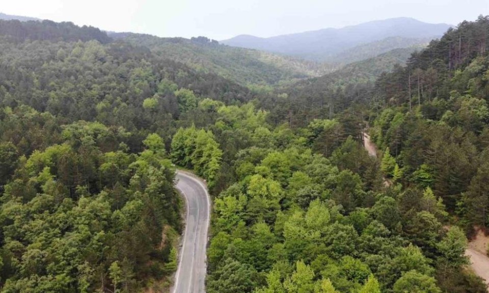 canakkale-orman.jpg