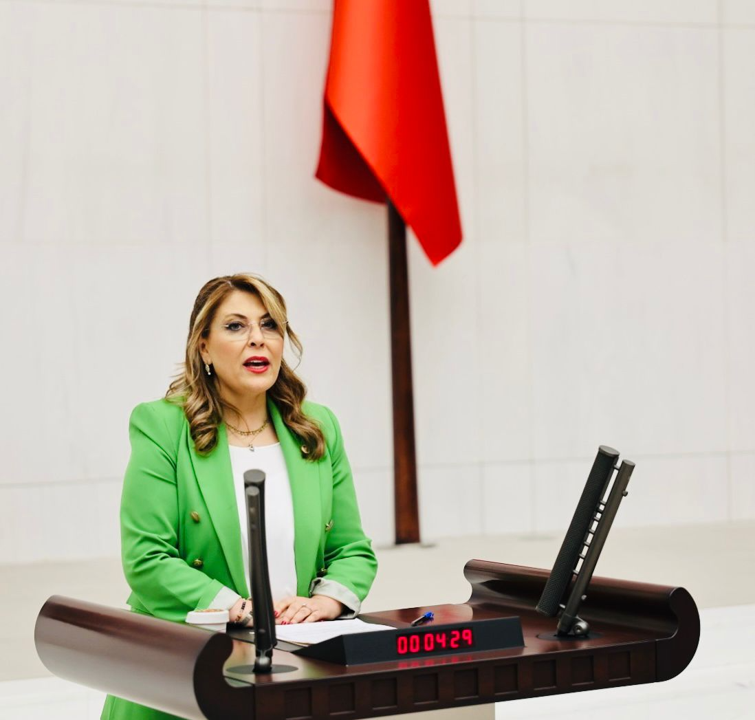elvanisikgezmis123456.png
