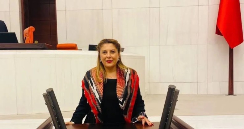 Elvan Işık Gezmiş, Giresun’un sorunlarını Meclis’e taşıyor – Birlik Haber Ajansı