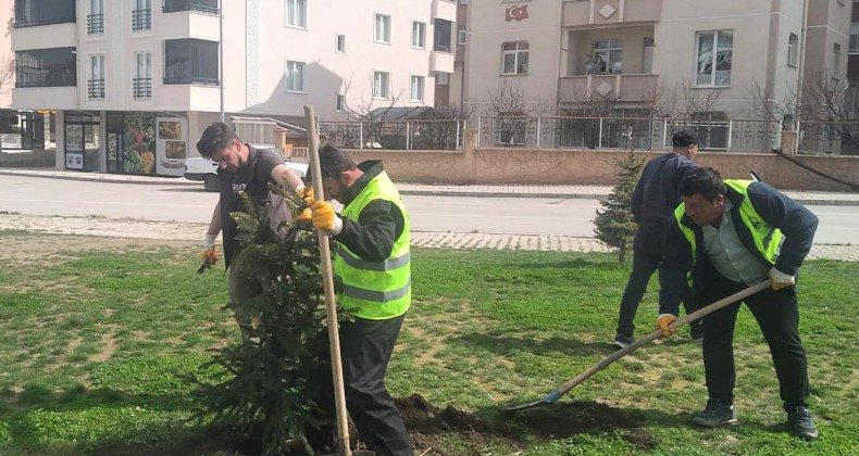 Bayburt Belediyesinden bahar mesaisi – Birlik Haber Ajansı