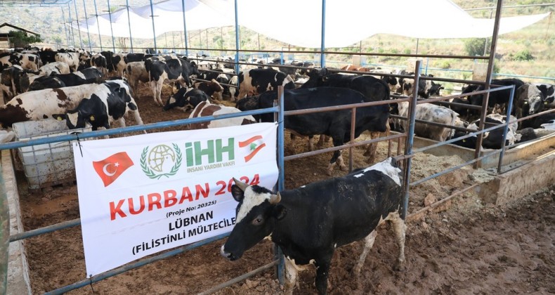 İHH Kurban Bayramı’nda 60 ülkeye ulaşmayı hedefliyor – Birlik Haber Ajansı