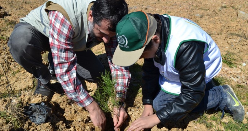 İHH yetimler için 160 bin fidan dikti – Birlik Haber Ajansı