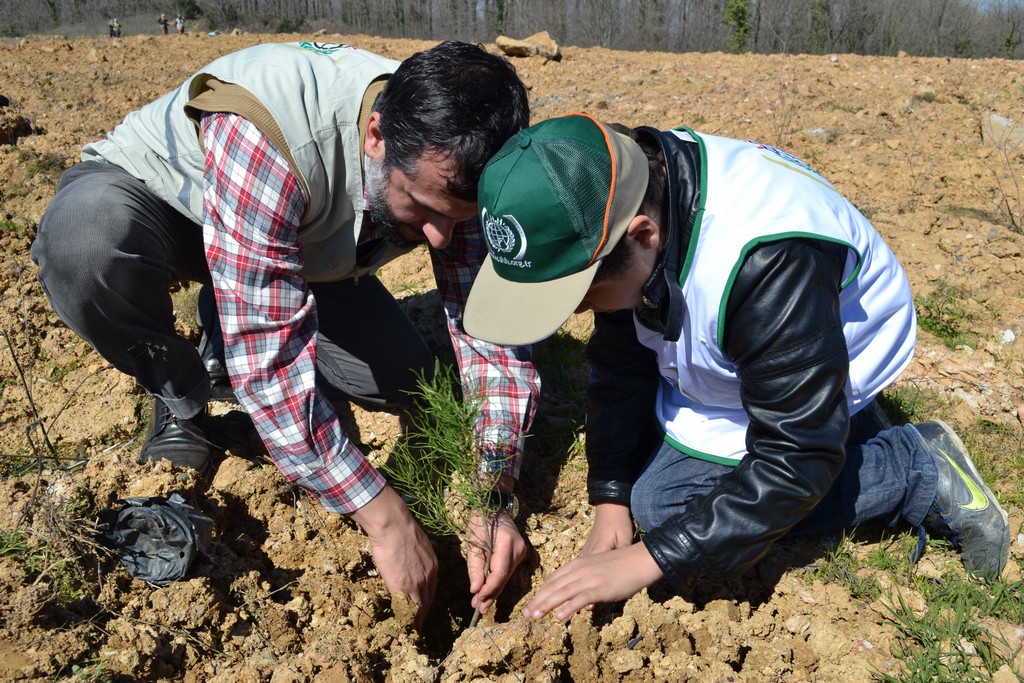 ihh-yetimler-icin-160-bin-fidan-dikti2.JPG