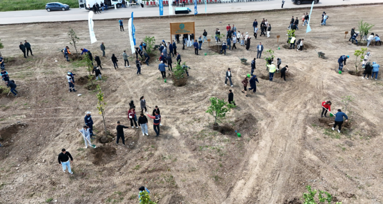 Kocaeli’nde binlerce fidan toprakla buluştu – Birlik Haber Ajansı