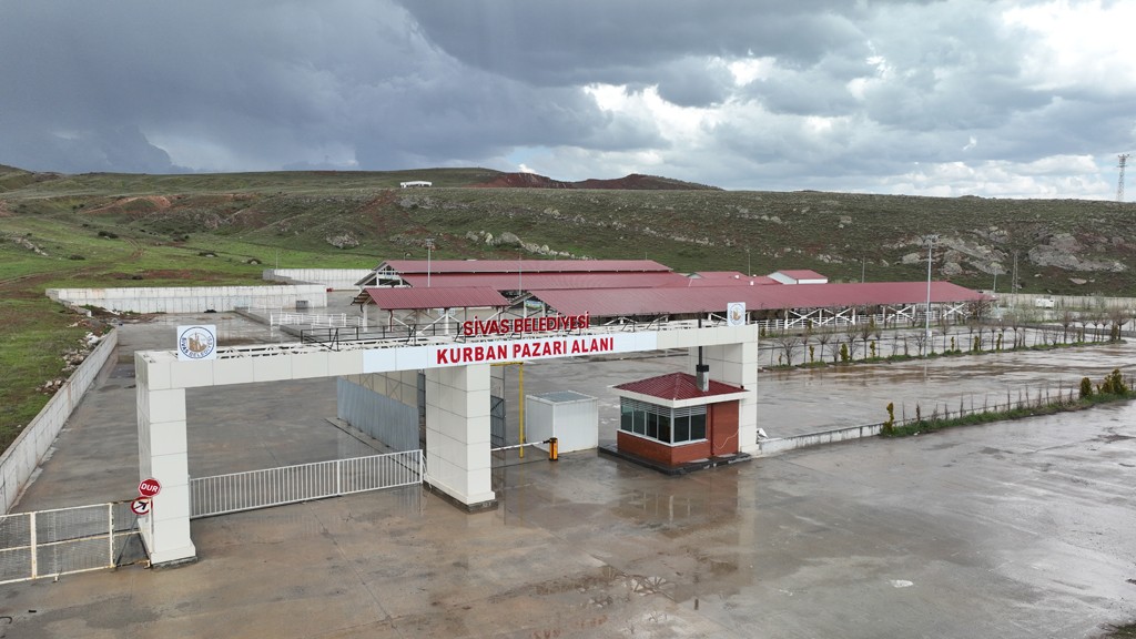 ot-borsasi.jpg