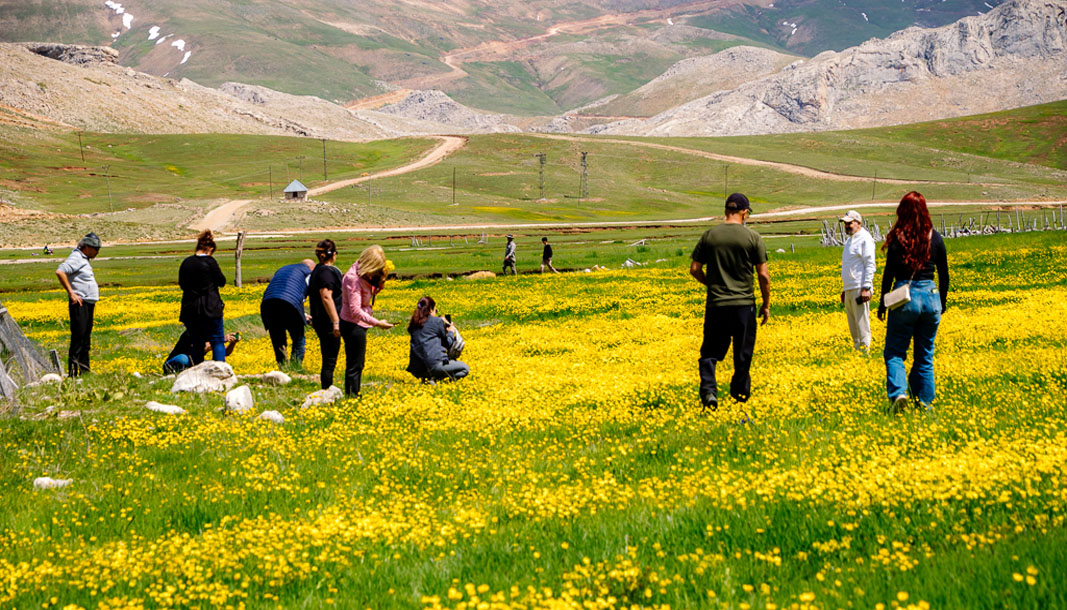 samet222-kopya-kopya-kopya-kopya-kopya-54.jpg
