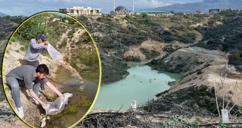 MAKÜ’de ekolojik yaşam alanındaki gölete bin balık bırakıldı – Birlik Haber Ajansı
