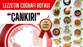 cografiisaret