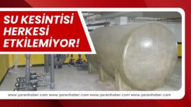 c32e3f3b-e853-4680-9deb-f14bea0d8a1a