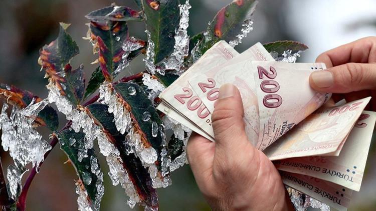 470 Bin Çiftçiye 46,5 Milyar TL Zırâi Don Desteği