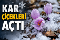 76BA34BB-CD38-4B0C-B138-2025836DD7A1