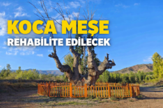 kocamese
